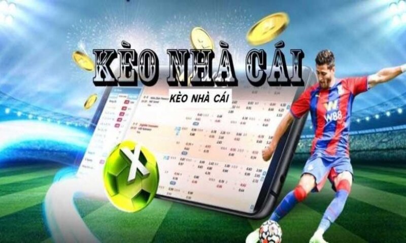 Cách đặt cược và sử dụng các loại kèo trên Kubet